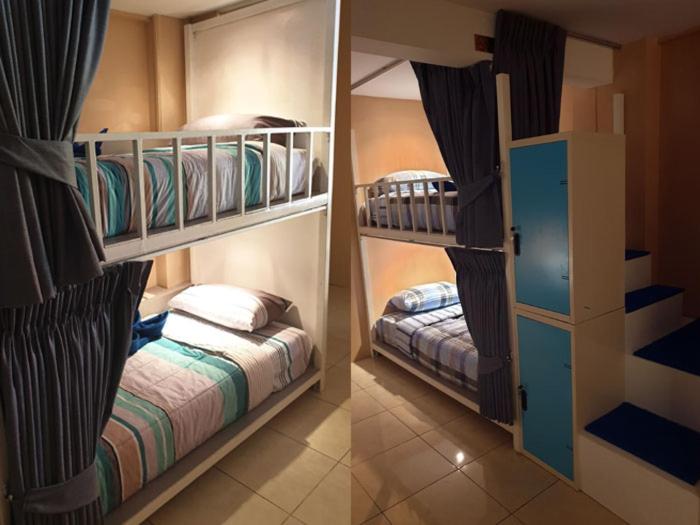 Oasis Hostel & Bar Oasis Hostel & Bar