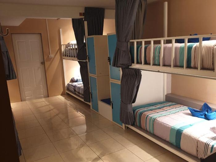 Oasis Hostel & Bar Oasis Hostel & Bar