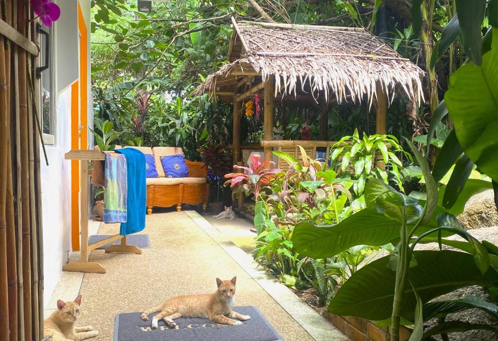 OASIS VILLA Suites & Rooms OASIS VILLA Suites & Rooms