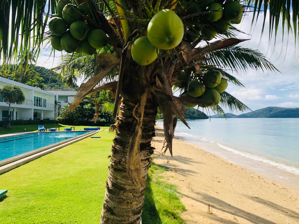 D-Lux 4 bed beachfront apartment with sea view D-Lux 4 bed beachfront apartment with sea view